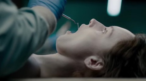 The Body In Question The Body In Question