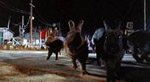 Rabbit Rampage Rabbit Rampage