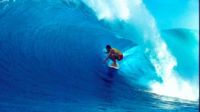 Surf's Up Surf's Up