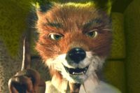 Fur Fox Ache Fur Fox Ache