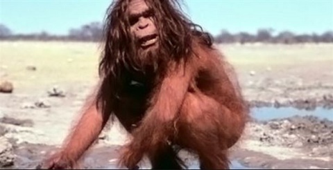 Don't Want To Die In A Nuclear War