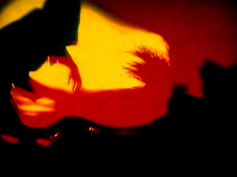 Colour Yourself Confused