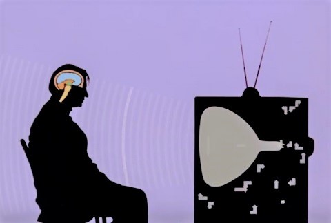 Kill Your Television