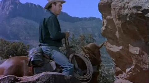 There's A Lion And A Horse In It