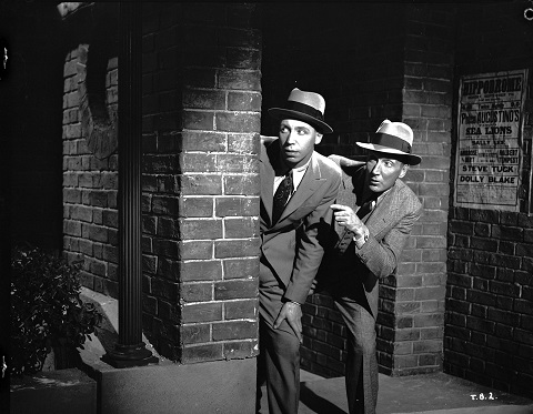 Could Organise A Piss-Up In A Brewery