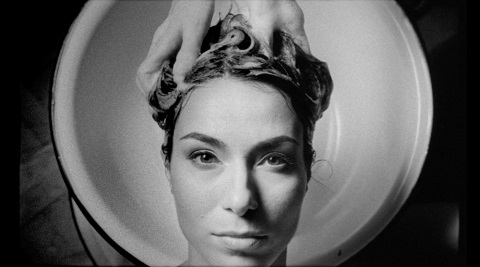 Sense and Sensibility