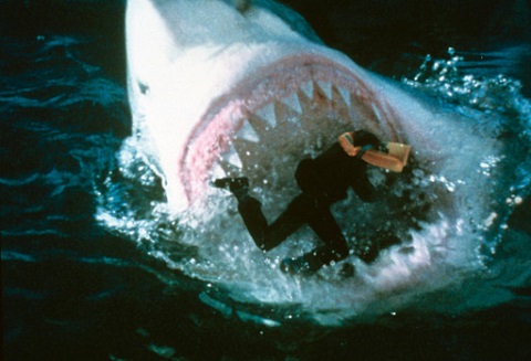 You Had To Open Your Big Mouth