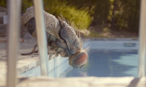 Pretty Fly For A White Guy