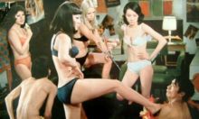 Leggy lovelies on the lam