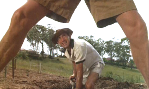 Where Women Glow And Men Plunder