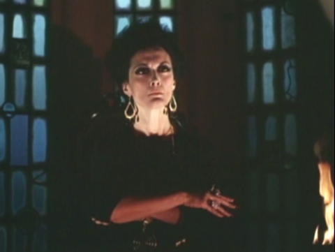 Never Mind The Warlocks