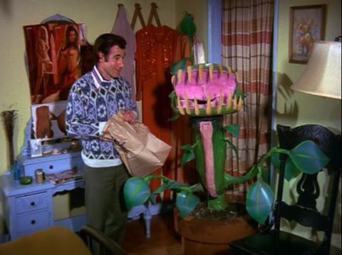 Horny Houseplant Horror