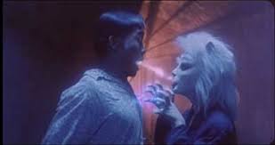 Meow, Meow, you're dead