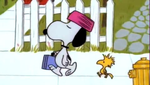 To Beagle Or Not To Beagle