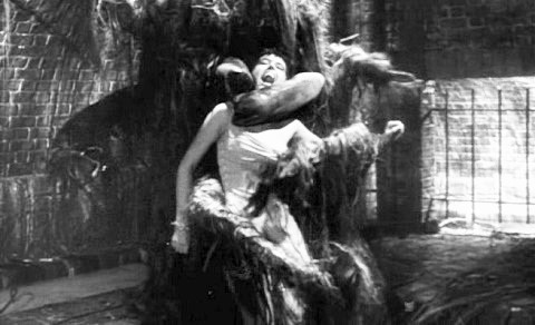 Gardeners' Question Crime